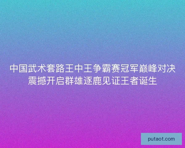 中国武术套路王中王争霸赛冠军巅峰对决震撼开启群雄逐鹿见证王者诞生