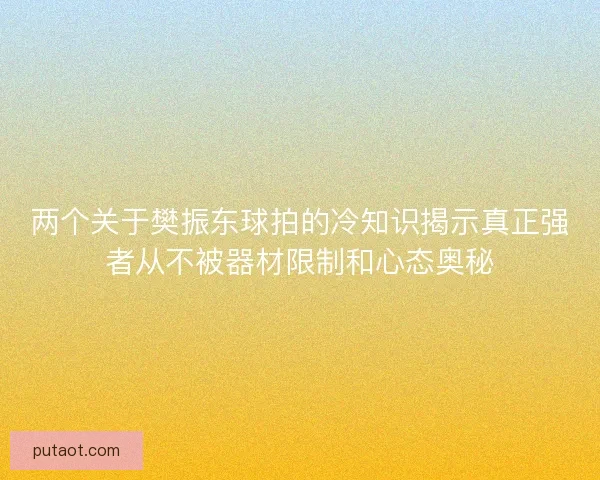 两个关于樊振东球拍的冷知识揭示真正强者从不被器材限制和心态奥秘